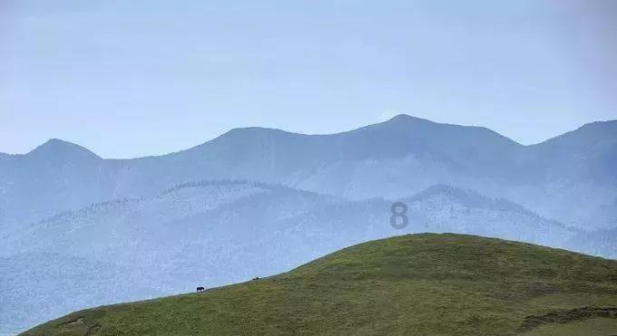 向着罪犯说话的律师是那种律师?-知识星球平台