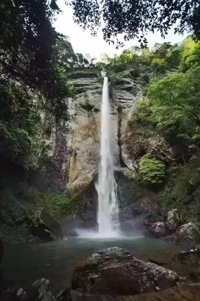 蓝狐视频